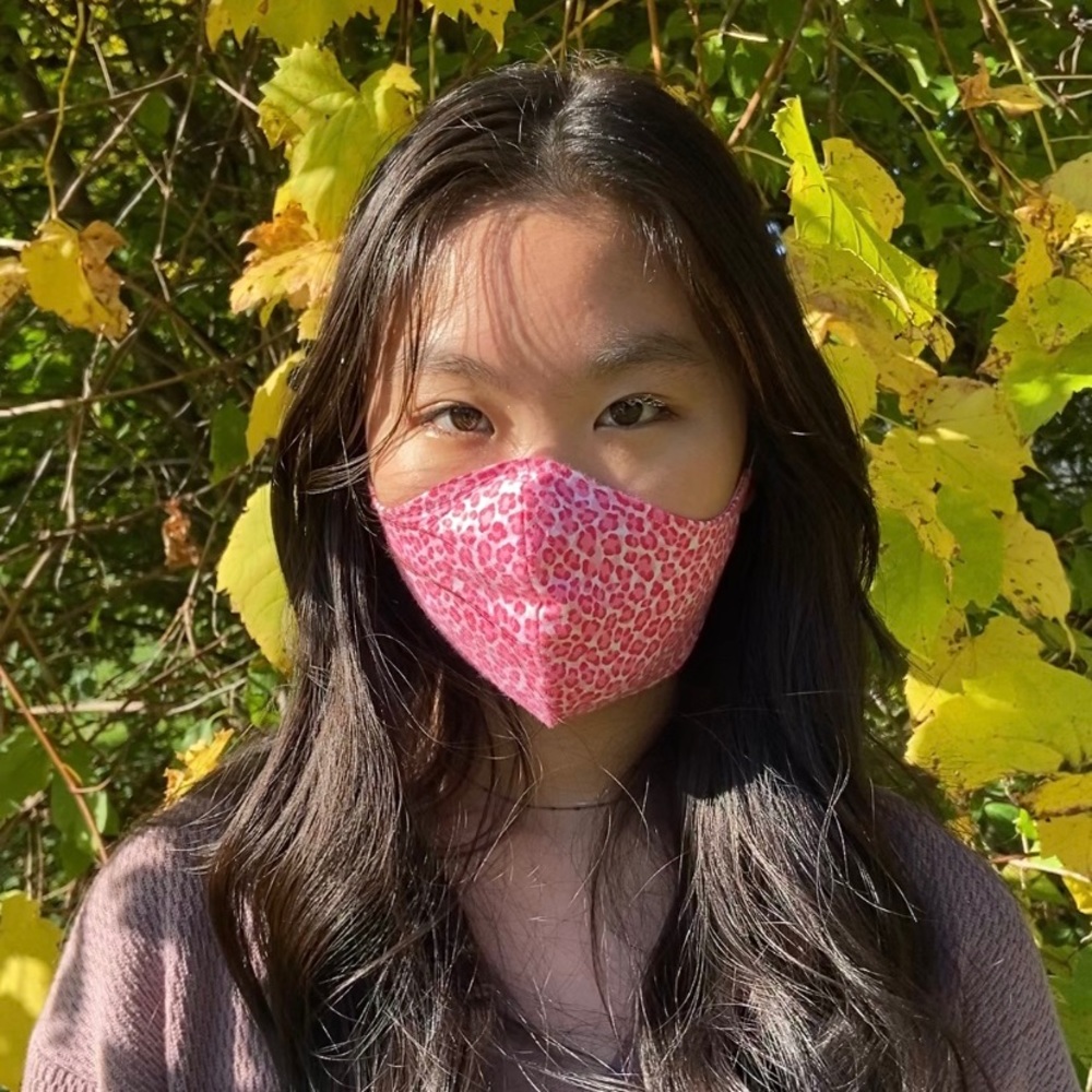 Pink cheetah print face mask